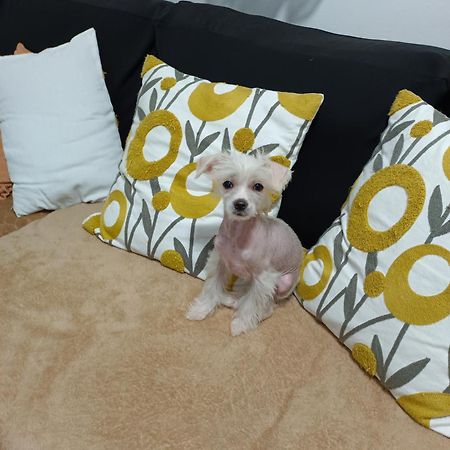 Casa De Ciss Apartman Madrid Kültér fotó