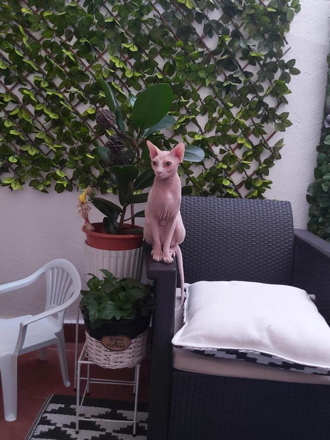 Casa De Ciss Apartman Madrid Kültér fotó