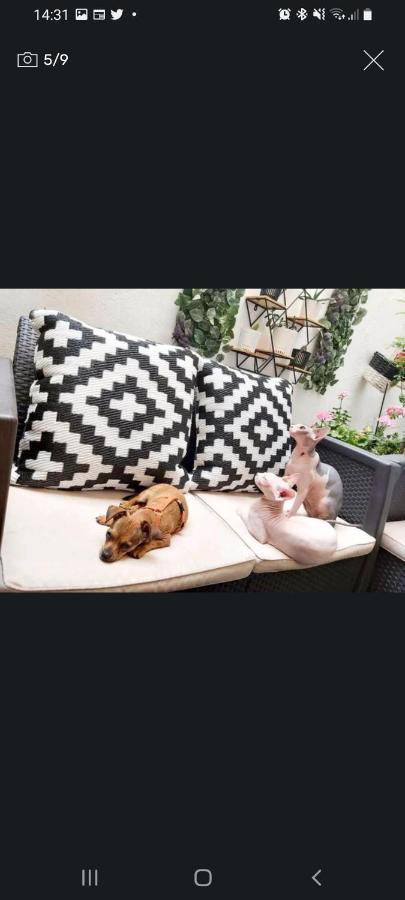 Casa De Ciss Apartman Madrid Kültér fotó