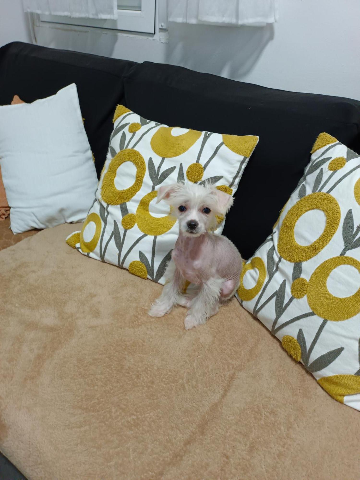 Casa De Ciss Apartman Madrid Kültér fotó